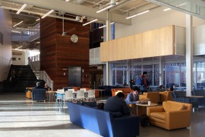 Study area