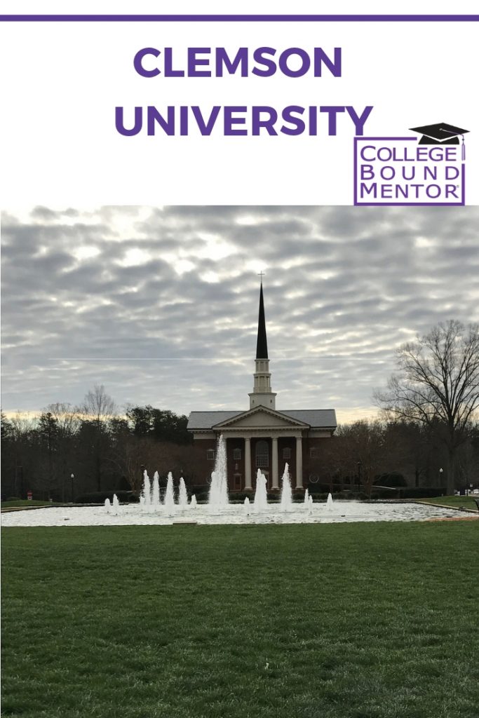 Clemson application essay image